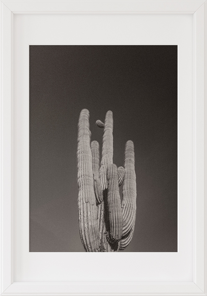 cactus art print