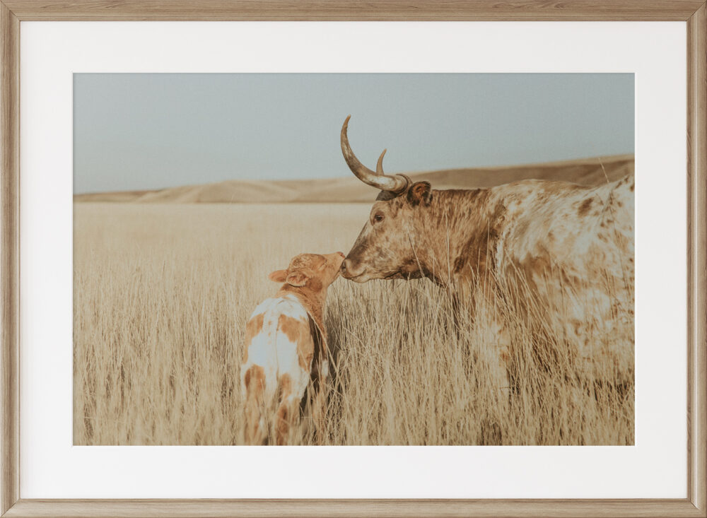 cow western print