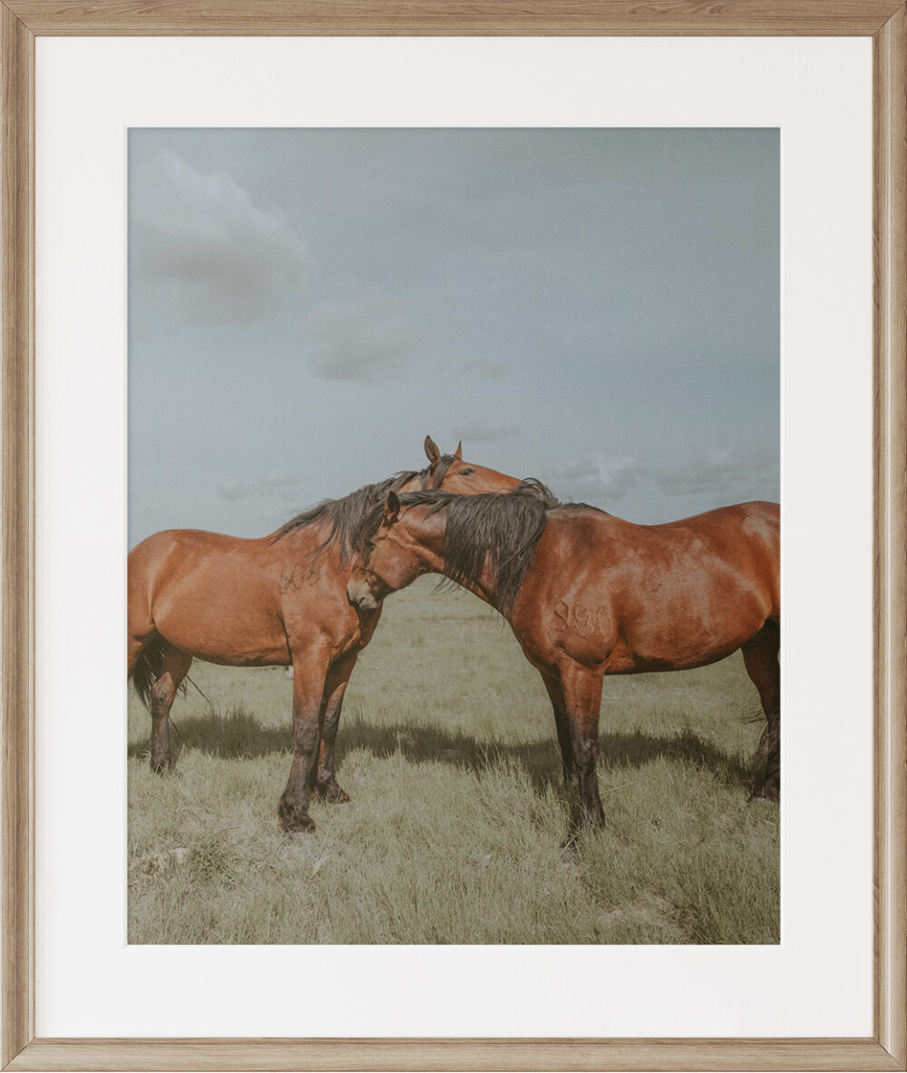 horse art print
