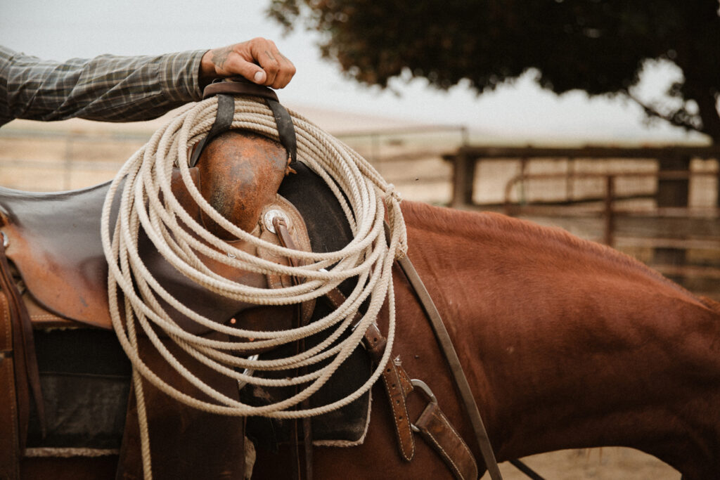 western art photography