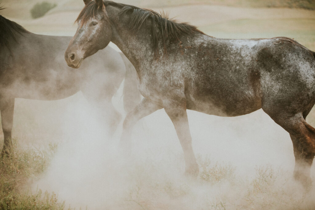 western art photography