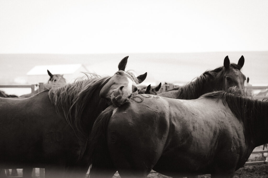 western art photography