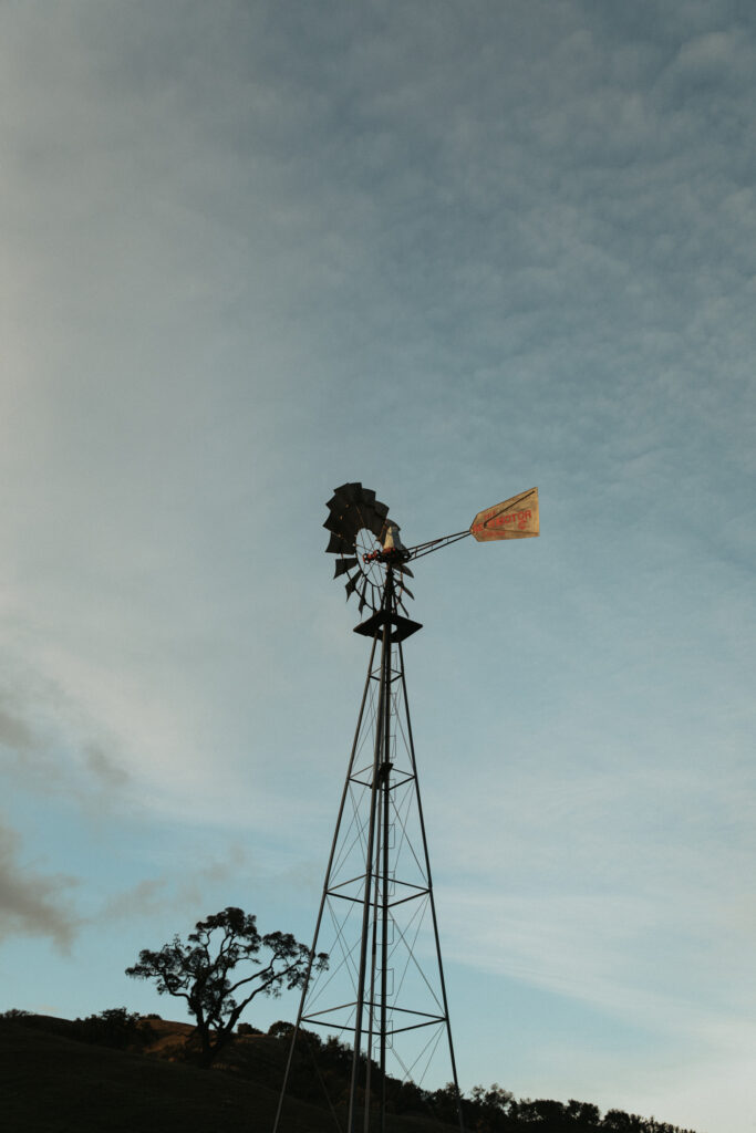 gilroy california landscape